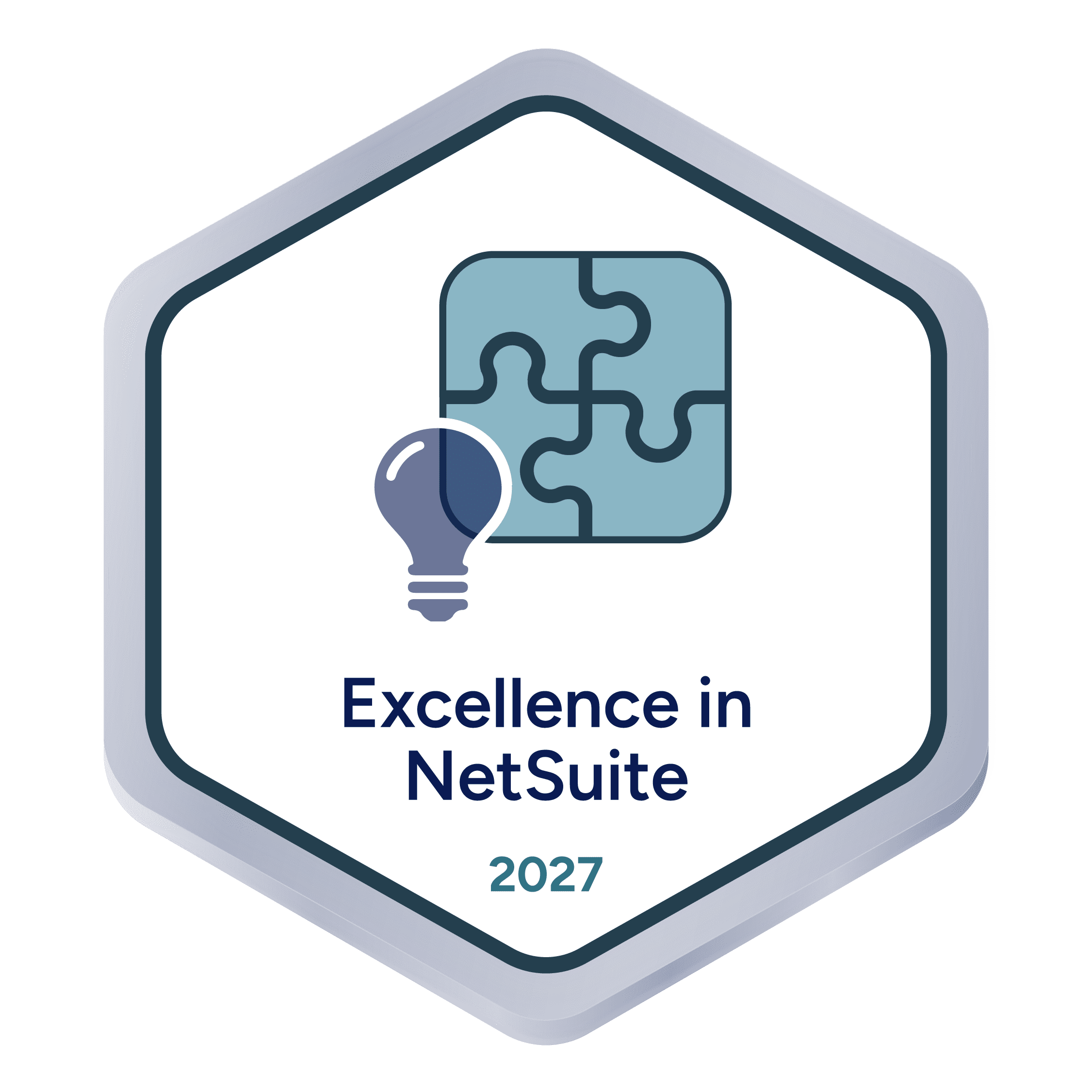 Excellence In NetSuite