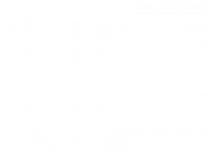 Salesforce logo white