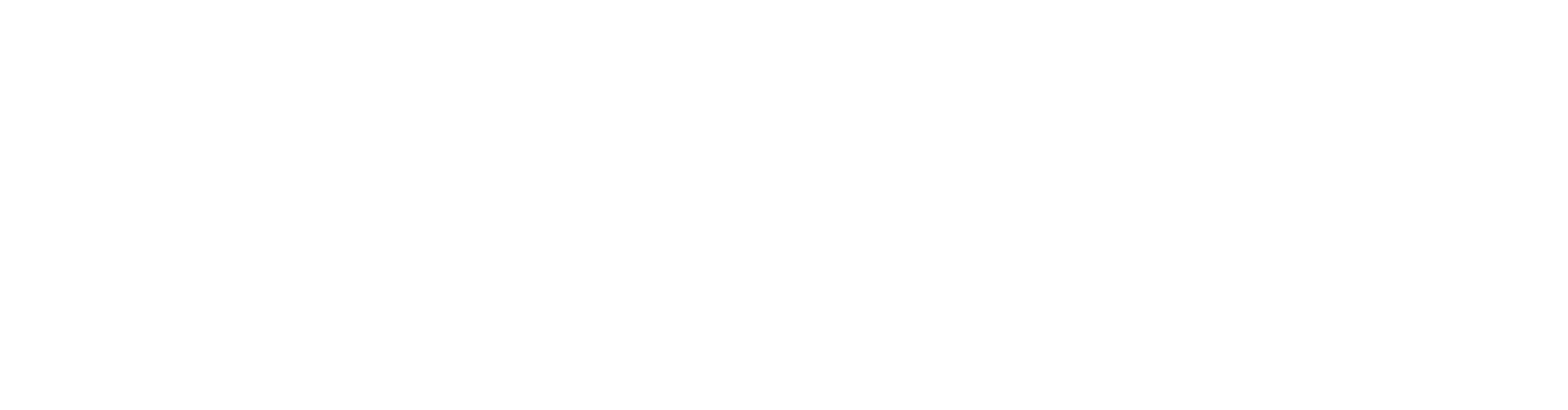vannda logo white