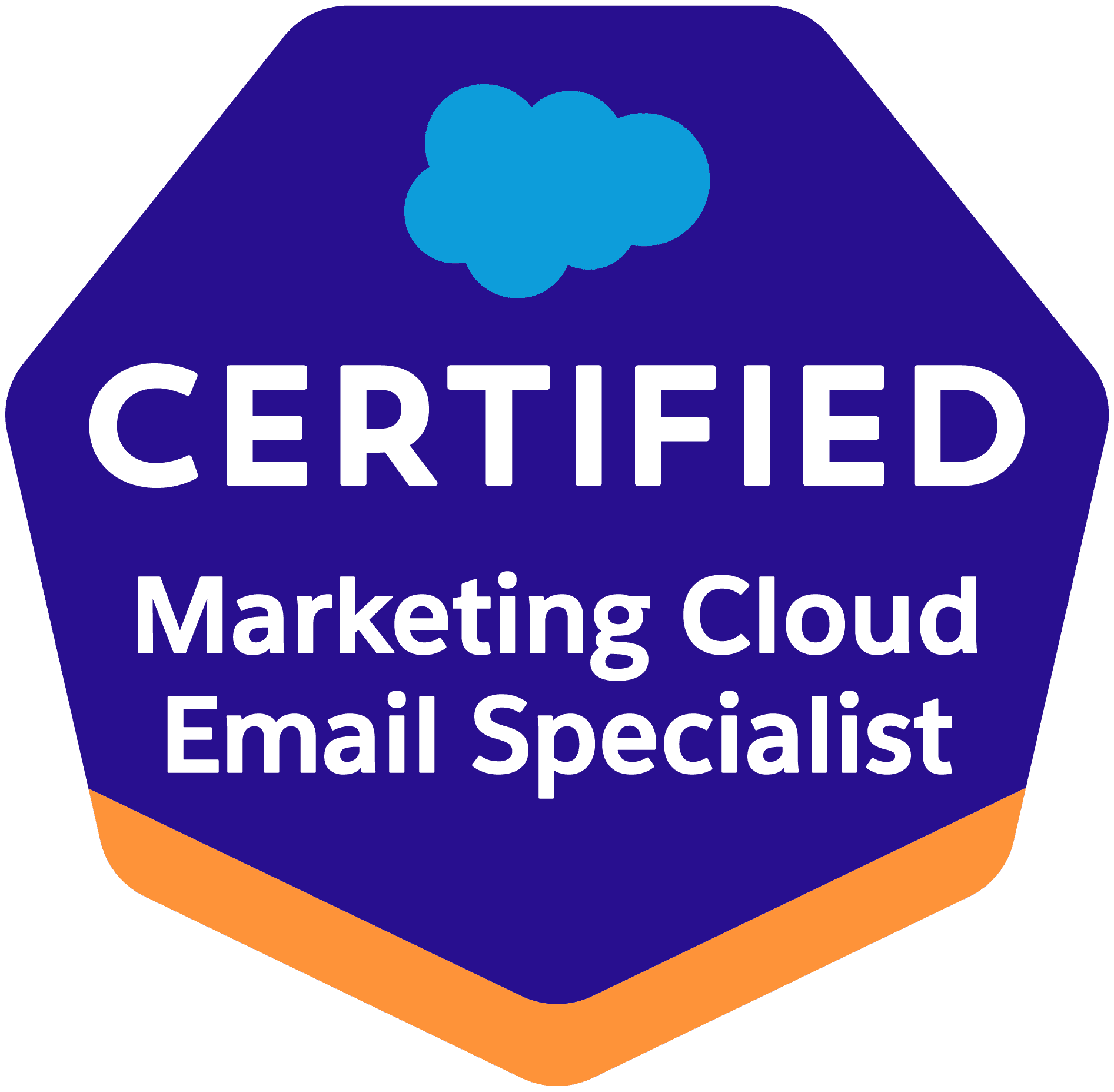 Marketing-Cloud-Email-Specialist.png