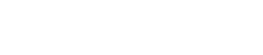 NEL Logo